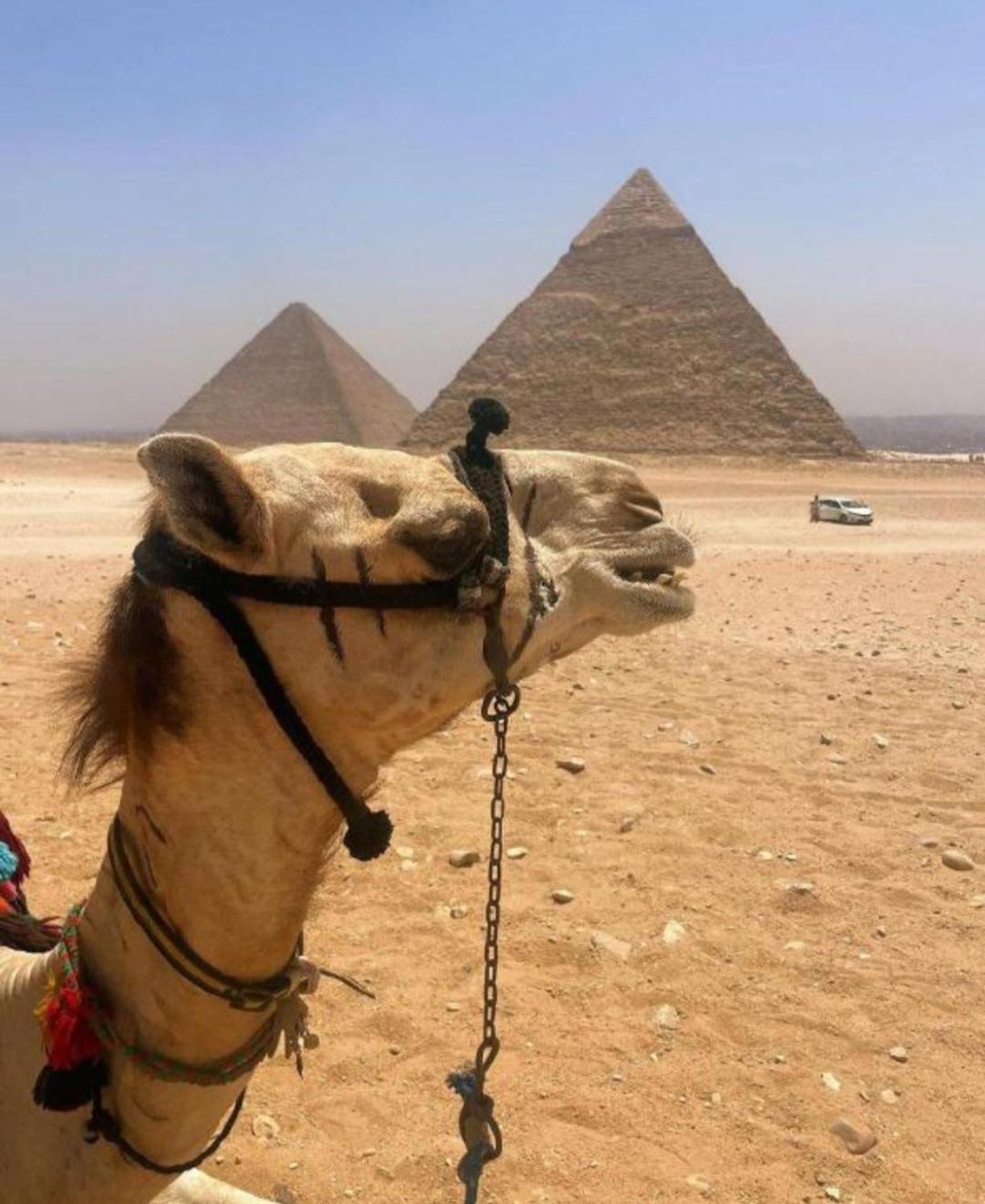 Youssef Pyramids *